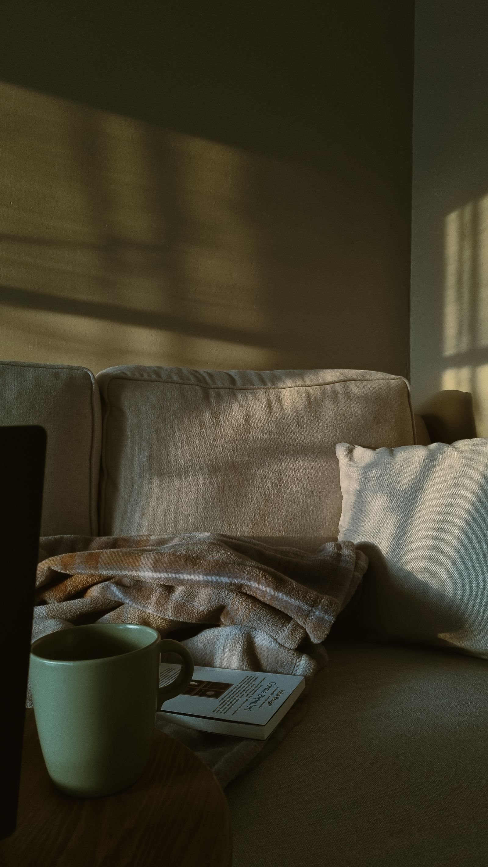 A soft blanket, a coffee cup and an open book arranged on a sofa