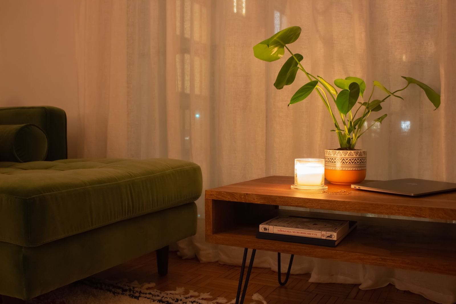 A living room with a candle, green sofa and potted plants arranged for the season